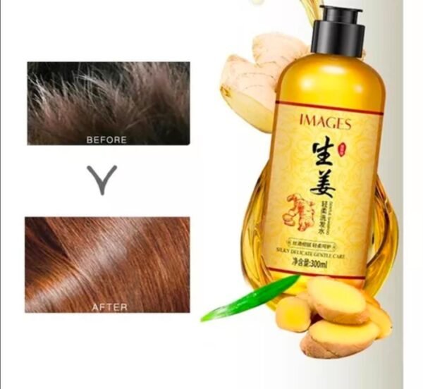 SHAMPOO GENGIBRE