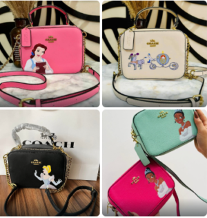 BOLSA COACH PRINCESAS