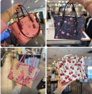 BOLSA COACH LARGA