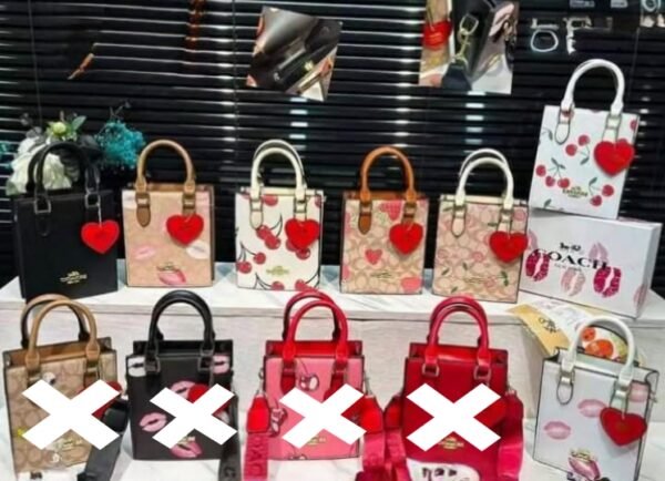 BOLSITA COACH CH