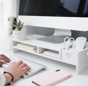 ORGANIZADOR  MONITOR