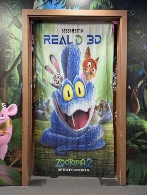 CORTINA PUERTA DISNEY