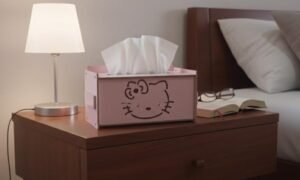 CAJA PAÑUELOS KITTY