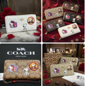 CARTERA  SNOOPY COACH