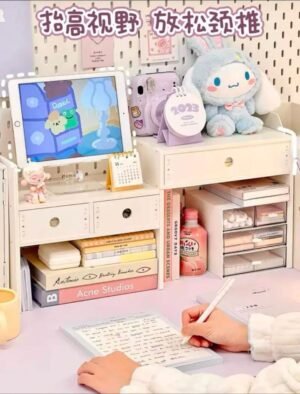 ORGANIZADOR MONITOR 2