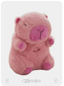 CAPIBARA RESPIRA
